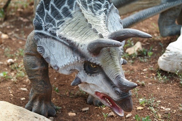 dinopark